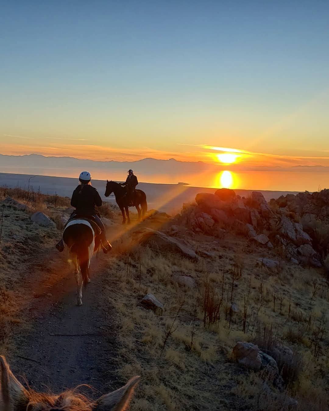 Trail Riding Adventures