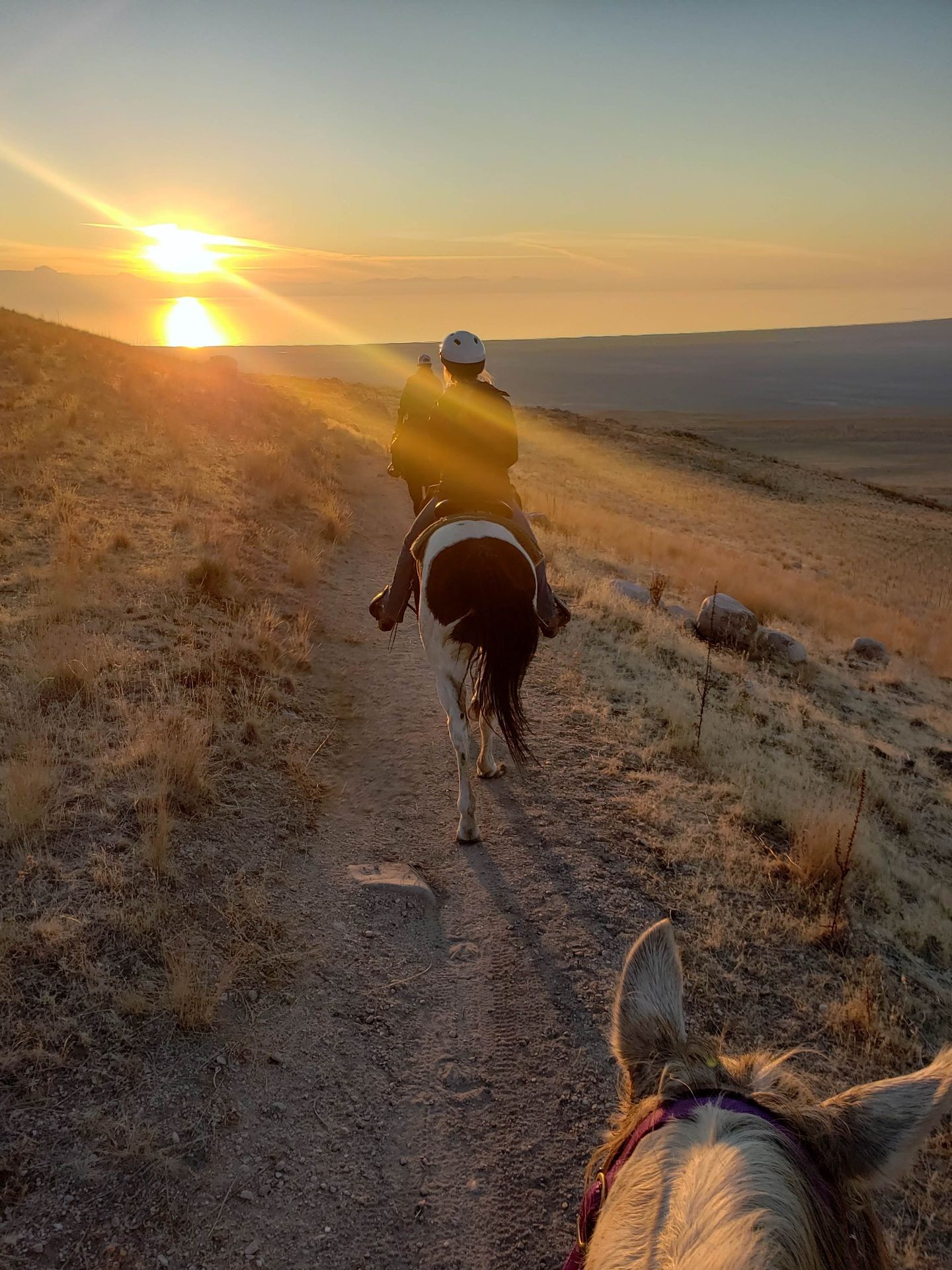 Guided Trail Rides