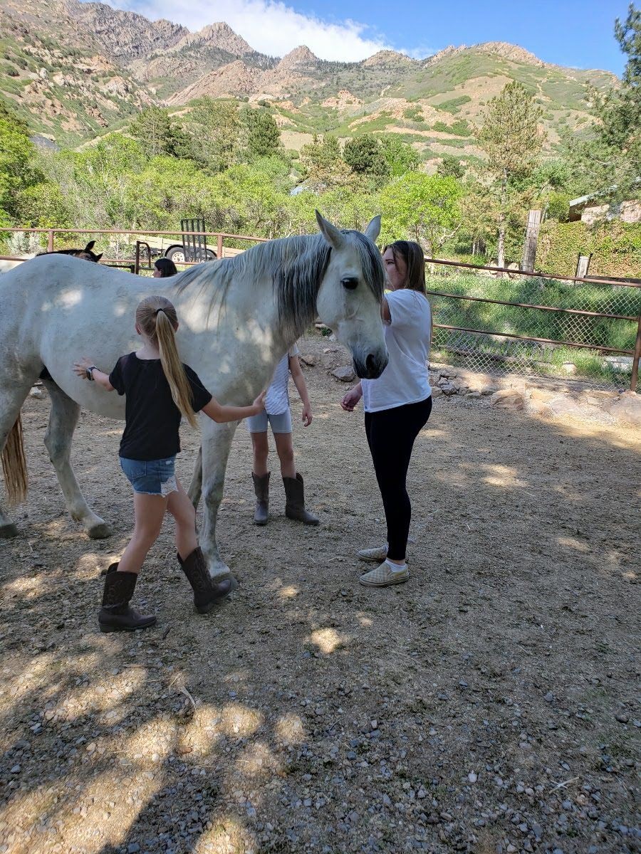 Specialized Horse Camps 