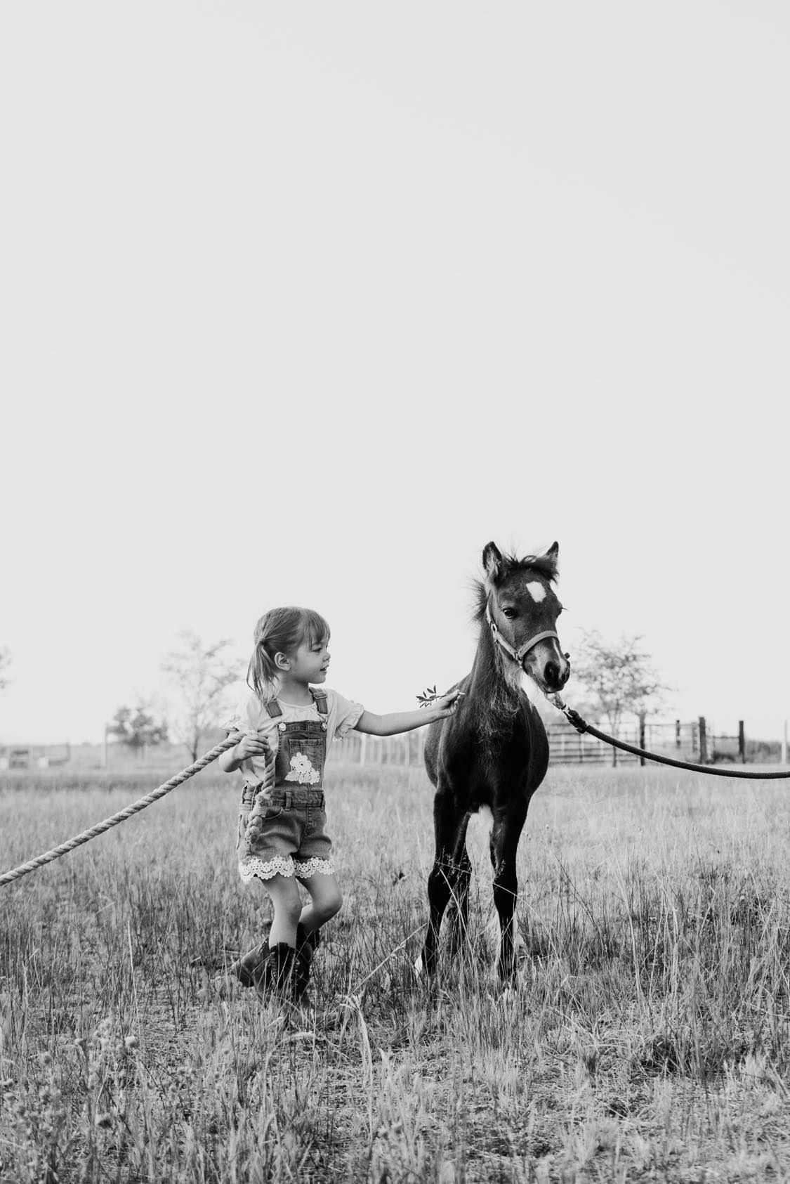 Child leading a young pony on a leash in an open field during the daytime.
